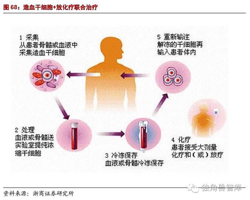 生物科技业新风向:郑州生物科技产业的发展脉络与未来展望